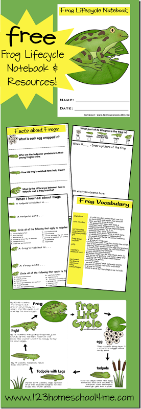 Free Frog Lifecycle Printable Notebook & Resources