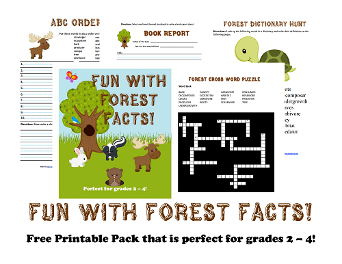 Free Homeschool Printables: Fun with Forest Facts Printable Pack