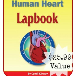 free lapbook