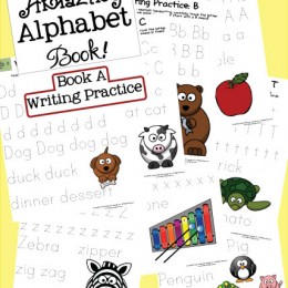 2 FREE The Amazing Alphabet Book! Writing Practice and Letter Hunts (Subscriber Freebie)