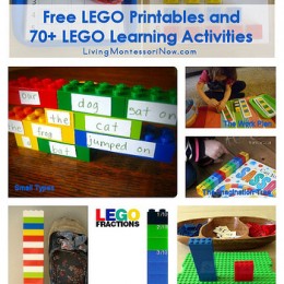 lego homeschool