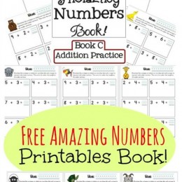 Free Amazing Numbers Printables Book {Subscriber Freebie}