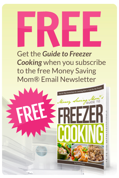 Free eBook: Guide to Freezer Cooking