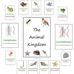 Free Animal Kingdom Notebook Printables