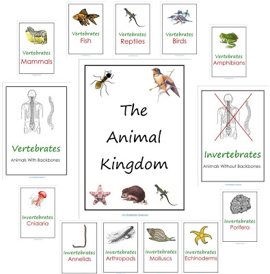 Free Animal Kingdom Notebook Printables