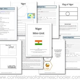 Free Niger Geography Unit Study