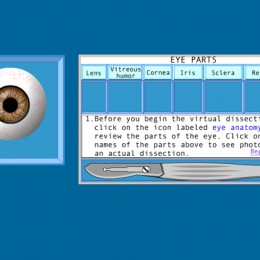 Free Virtual Eye Dissection