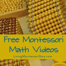 Free Montessori Math Videos