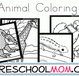 FREE ABC Animal Coloring Pages