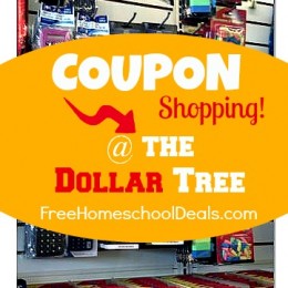 dollar tree homeschool