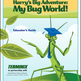 Free My Bug World Guide