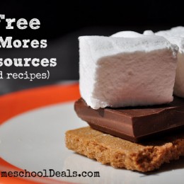 Free National S’mores Day Resources {and recipes}