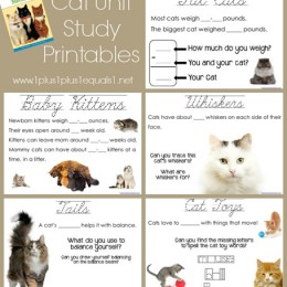 Free Homeschool Unit Study: Cats