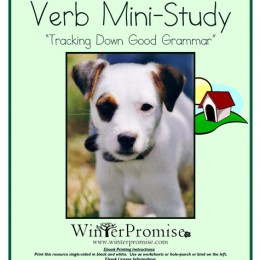 Free Mini-Study on Verbs: Tracking Down Good Grammar