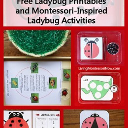 Free Ladybug Printables and Montessori-Inspired Ladybug Activities