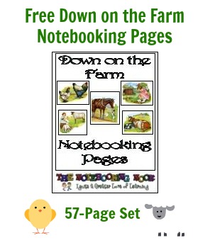 free notebooking pages