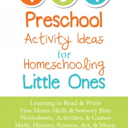 134 Preschool Activity Ideas for Homeschooling Little Ones