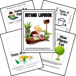 Free Botany Lapbook