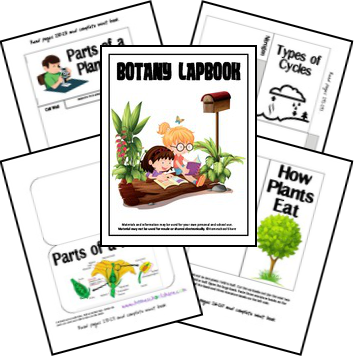 Free Botany Lapbook