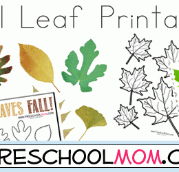 Free Fall Leaf Preschool Printables