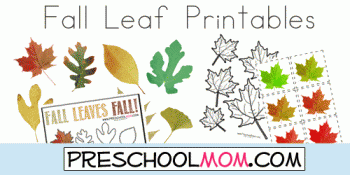 Free Fall Leaf Preschool Printables