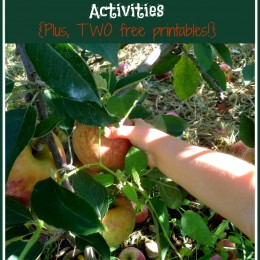 Free Preschool Apple Unit Activities + Free Printables