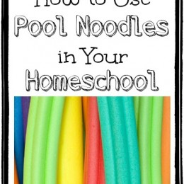 30+ Ways to Homeschool with Pool Noodles