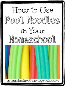 30+ Ways to Homeschool with Pool Noodles