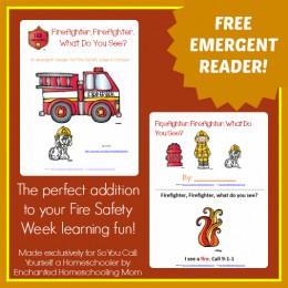 Free Printable Firefighter, Firefighter, What Do You See? Emergent Reader