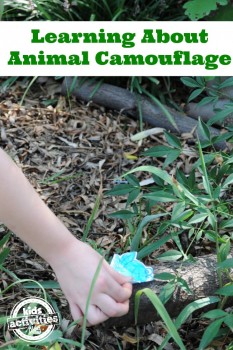 Free Printable: Learn about Animal Camouflage on a Frog Scavenger Hunt