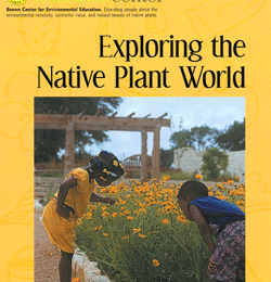 Free Native Plants Curriculum – Prek thru 6th Grade