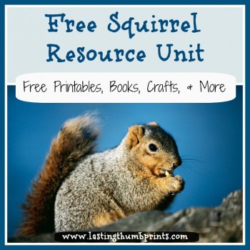 Free Homeschool Resources About Squirrels