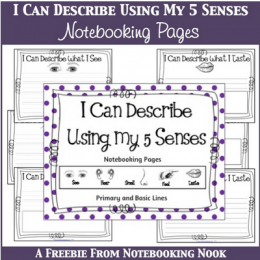 Free I Can Describe Using My 5 Senses Notebooking Pages