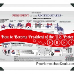 How to Become President of the U.S. Poster