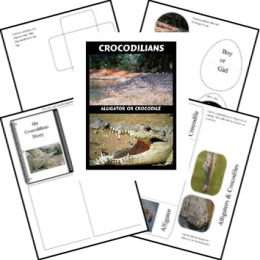 Free Crocodilians Lapbook