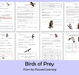 Free Bird of Prey Study Guide