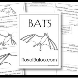 Free Bat Unit Study