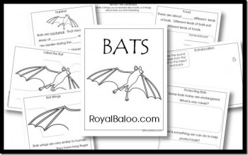 Free Bat Unit Study