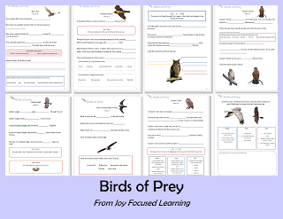 Free Bird of Prey Study Guide