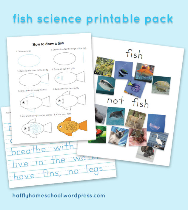 Free Fish Science Printables