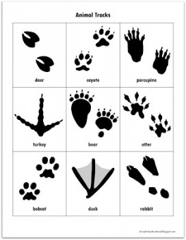 Free Animal Tracks Matching Game Printables