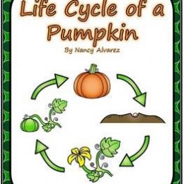 Free Pumpkin Life Cycle Writing Printables