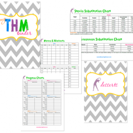 Trim Healthy Mama: Free THM Notebook Printables