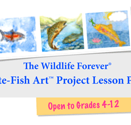 Free Fish Art and Science Lesson Plans