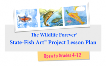 Free Fish Art and Science Lesson Plans