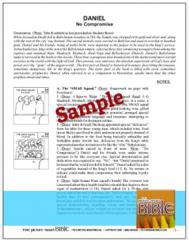 Free Book of Daniel Lesson from The Picture Smart Bible