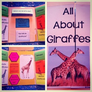 Free Lapbook: All About Giraffes