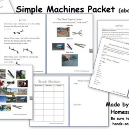 Science: Free Simple Machines Printable Packet - 25 pages