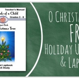 Christmas Lapbook