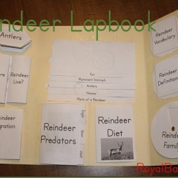 Free Reindeer Lapbook